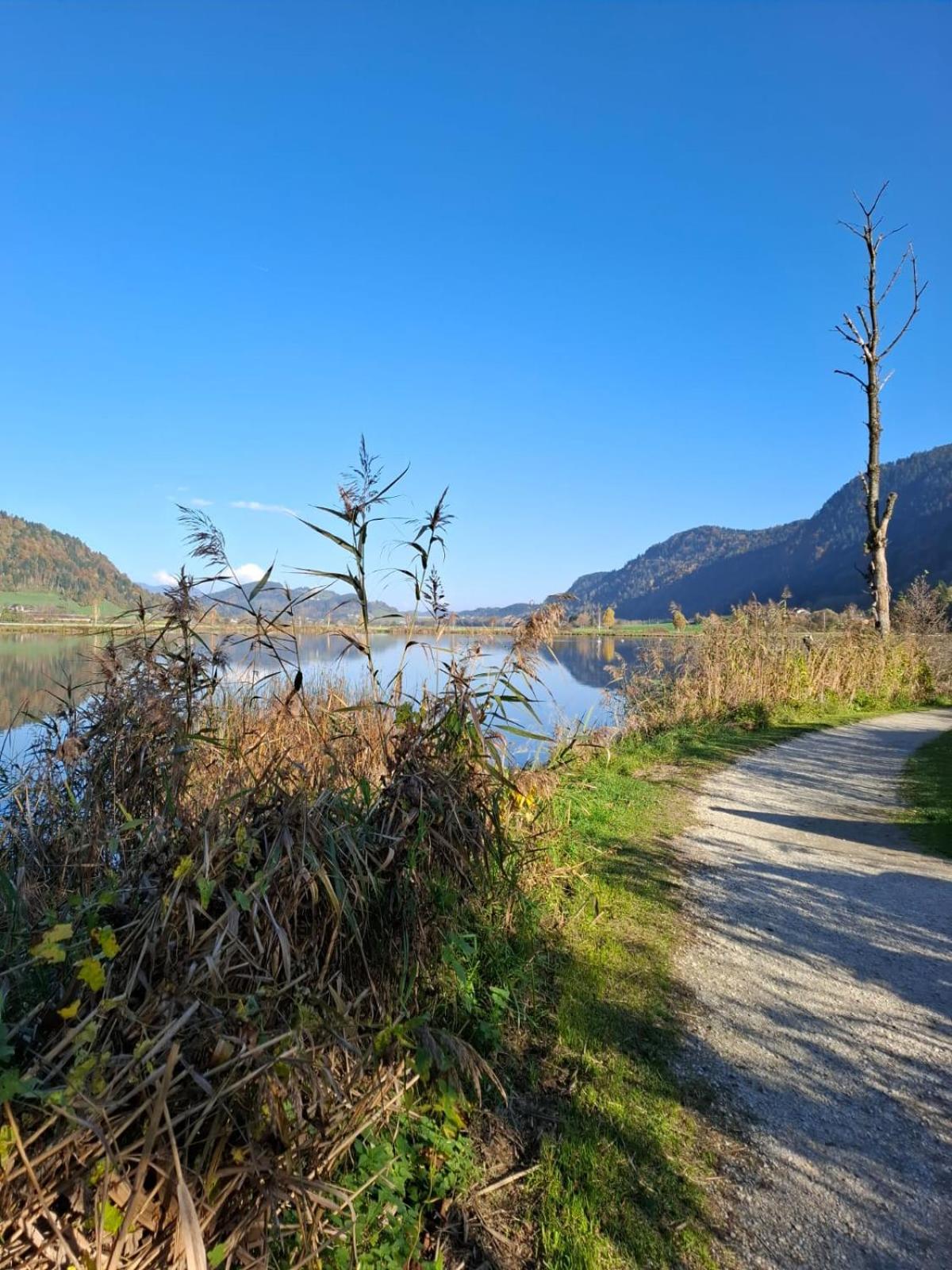 Ferienwohnung Resi Mit Traumhaftem Seepanorama Steindorf am Ossiacher See Exterior photo
